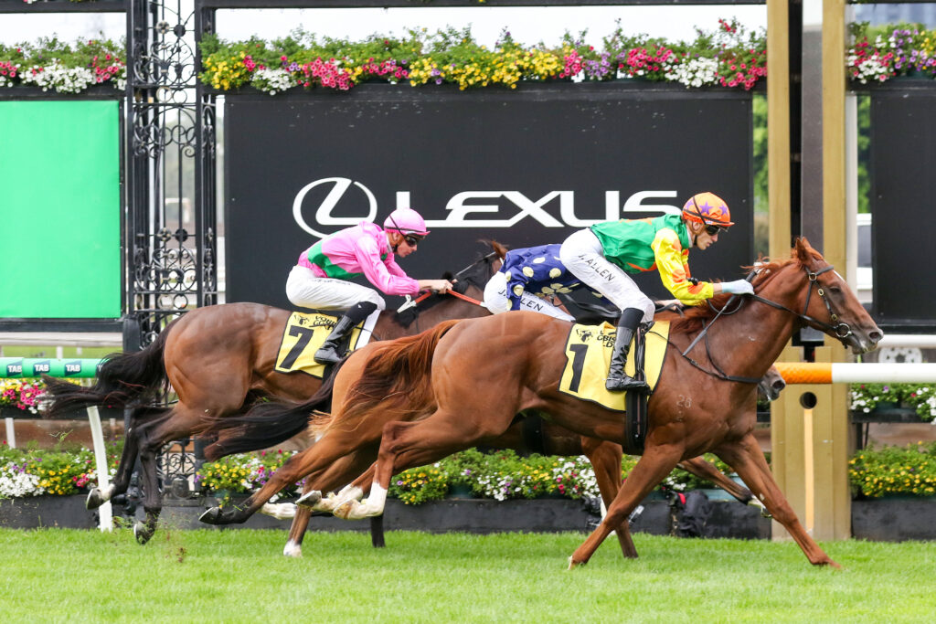 Prestige Ole_29-03-2025_WIN_Flemington_2__183 | Just Horse Racing