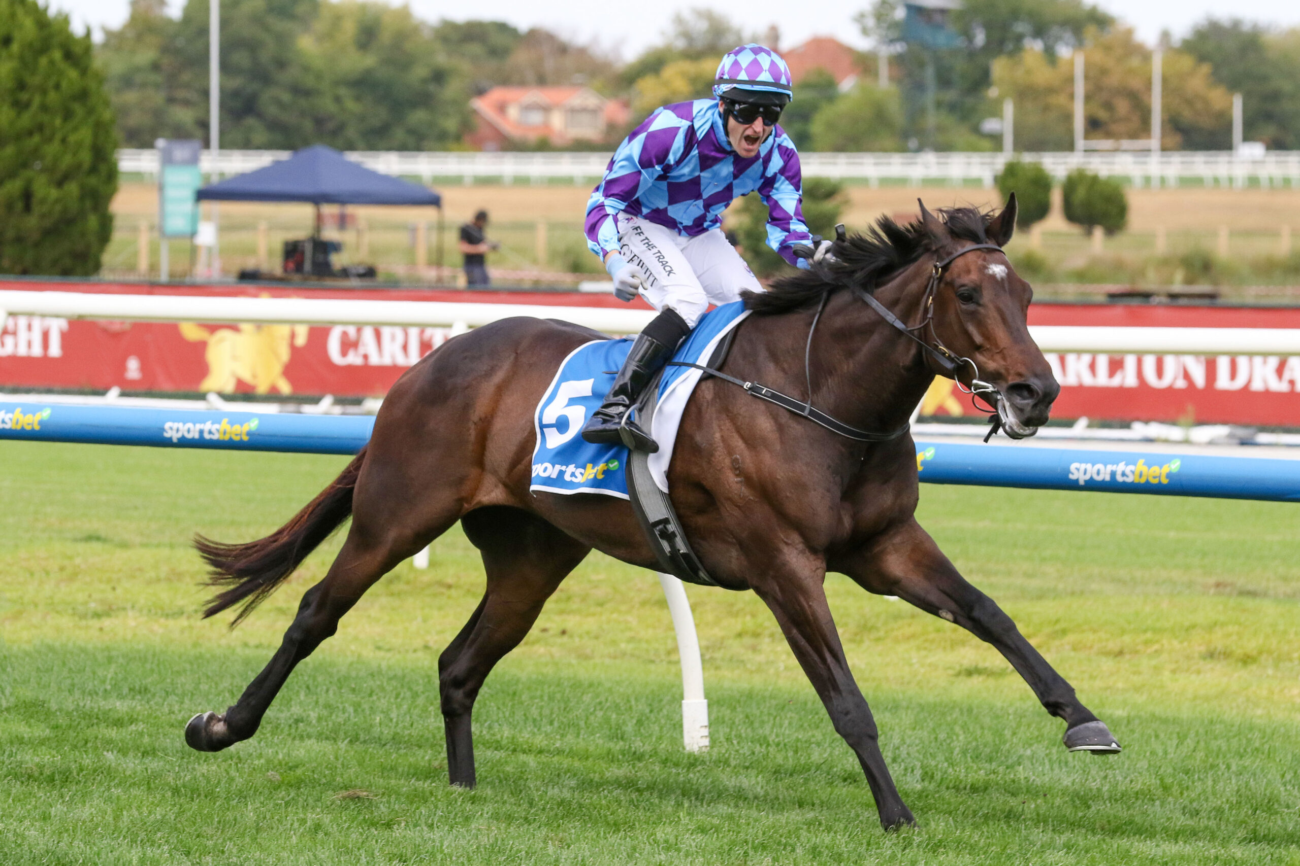 Jen Mateo Racing Maher loads Australian Cup bases | Just Horse Racing