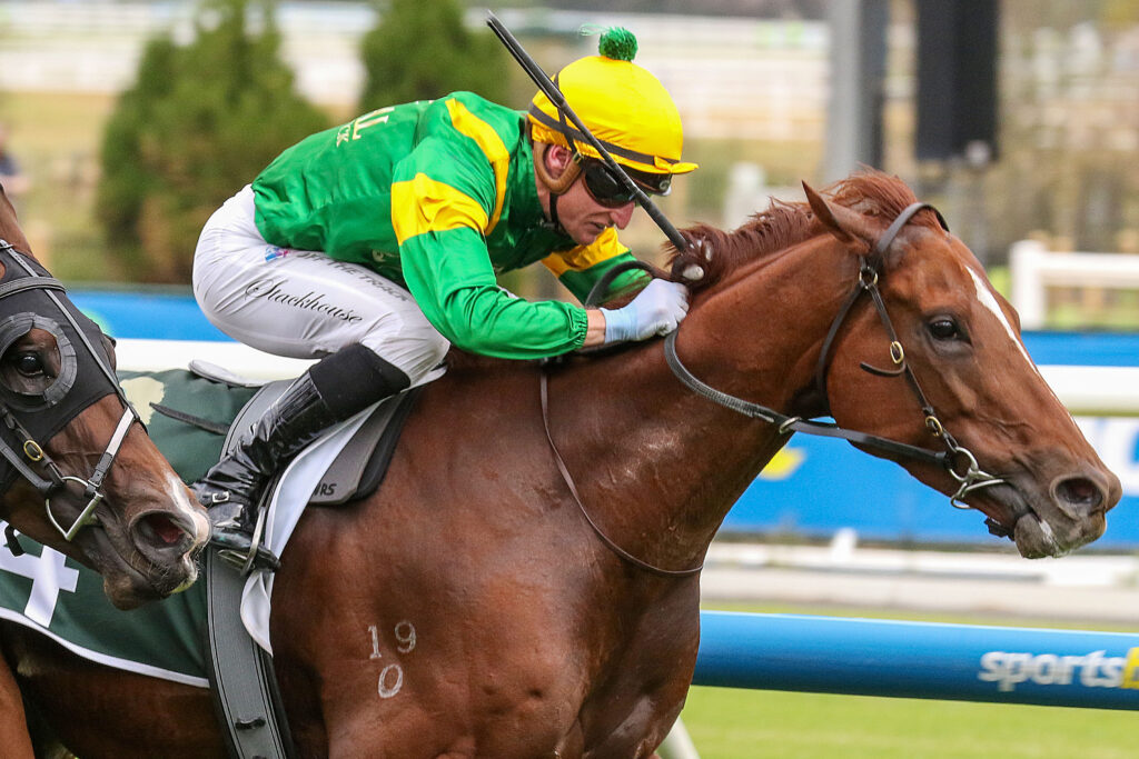Regal Zeus_15-03-2025_WIN_Caulfield_9__1416 | Just Horse Racing