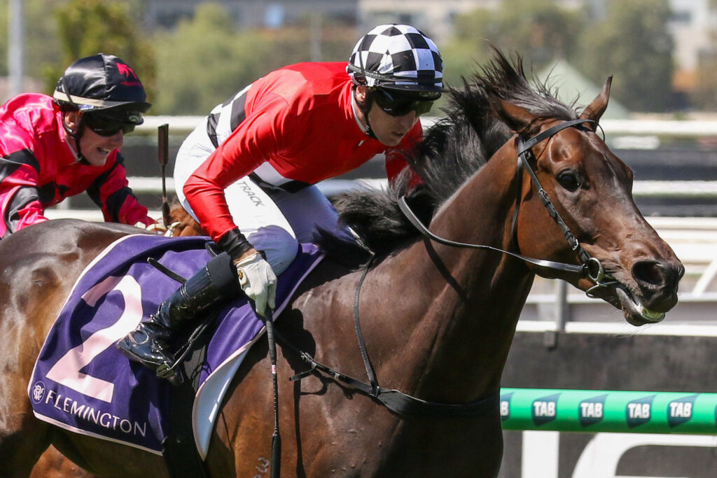 Revelare_01-03-2025_WIN_Flemington_2__220 | Just Horse Racing