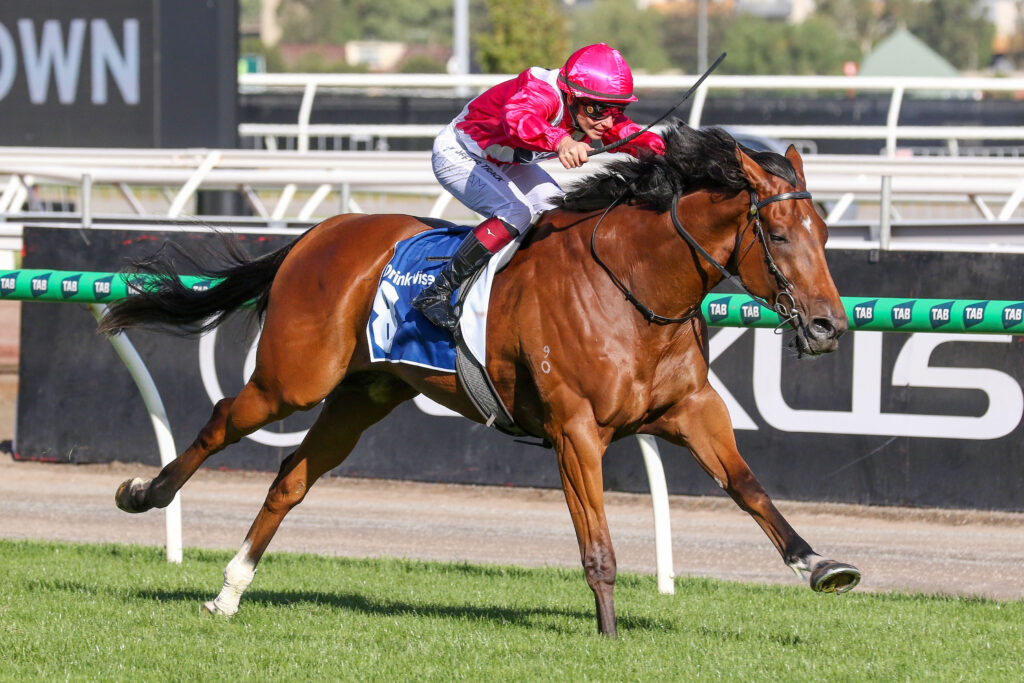 VERDADV9A1696 | Just Horse Racing