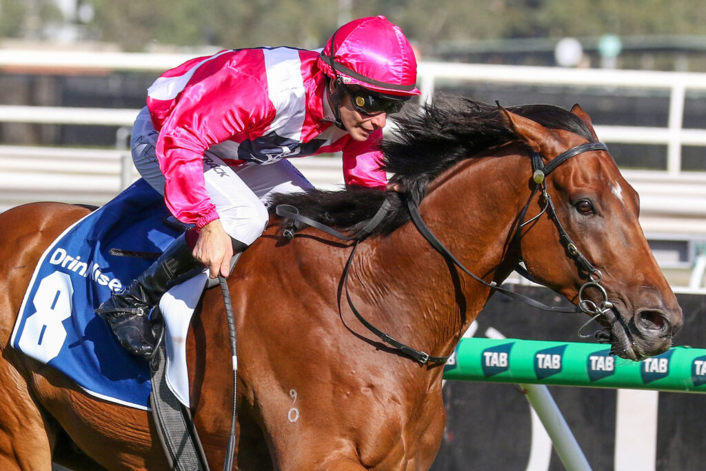 VERDADV9A1699 | Just Horse Racing