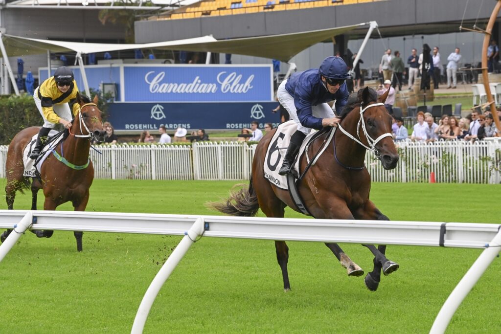 2042557.jpg | Just Horse Racing