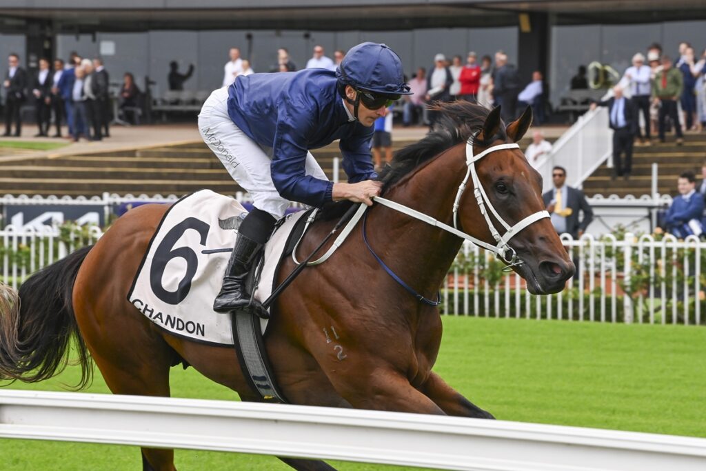 2042558.jpg | Just Horse Racing
