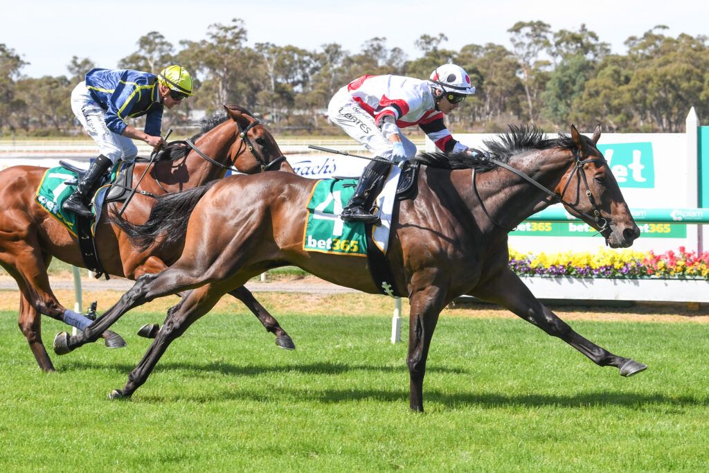 /r5/ | Just Horse Racing