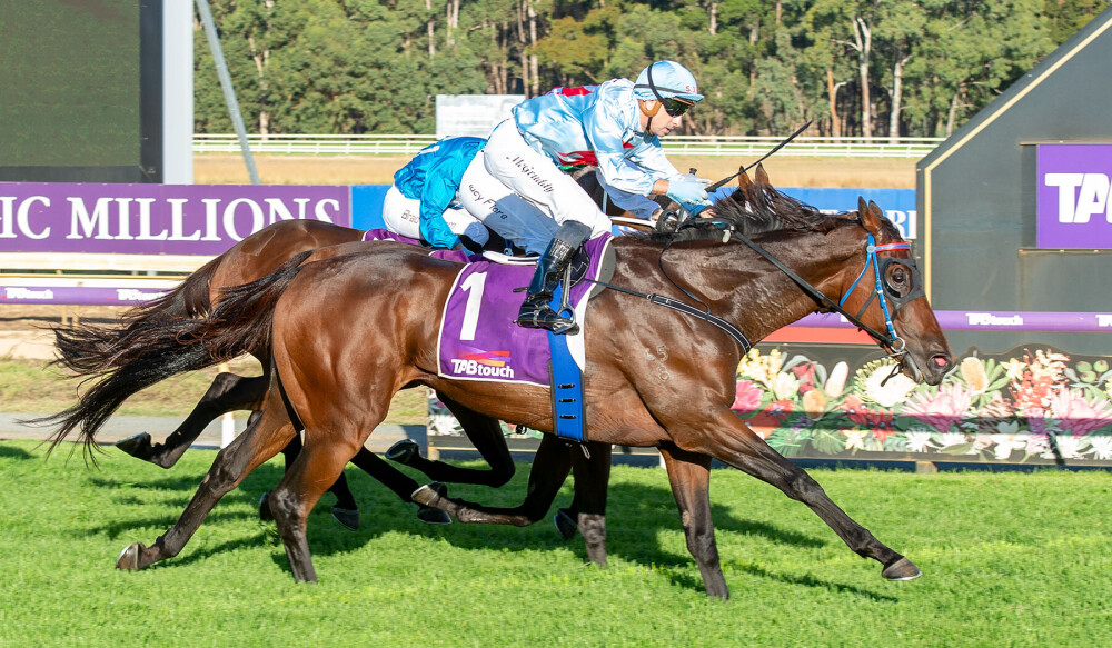 currimundi_23-03-2025_win_pinjarra_9__05_1000x583px | Just Horse Racing