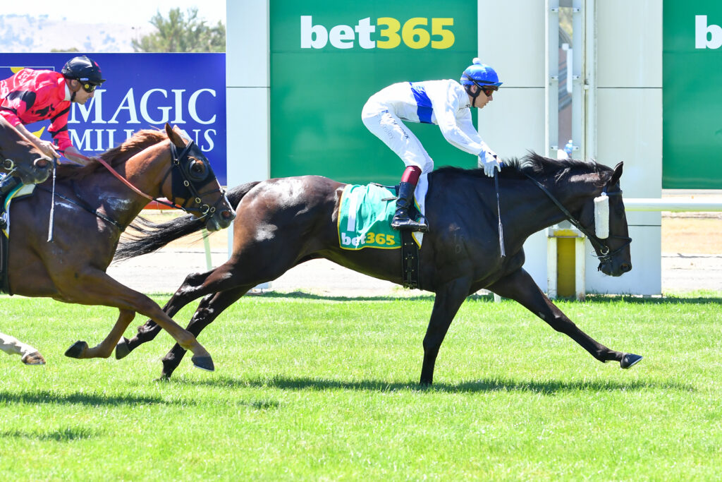 /r1/ | Just Horse Racing