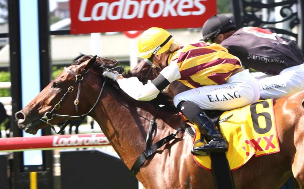 set to 12 | Just Horse Racing