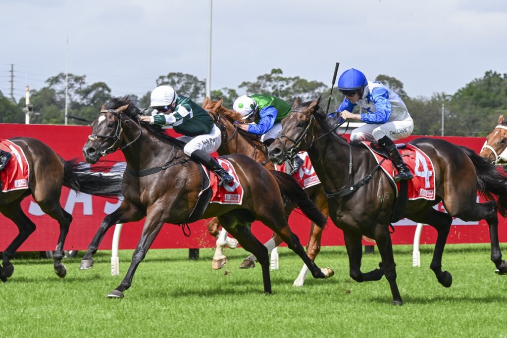 Pocketing | Just Horse Racing
