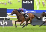 Dubai Honour