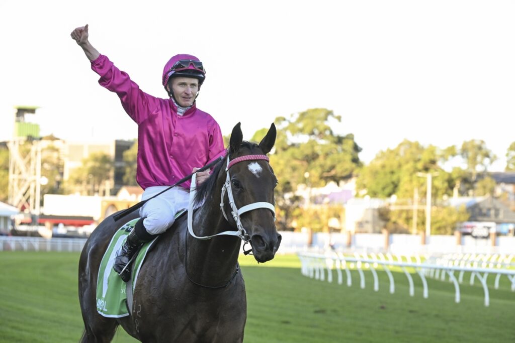 2092164.jpg | Just Horse Racing