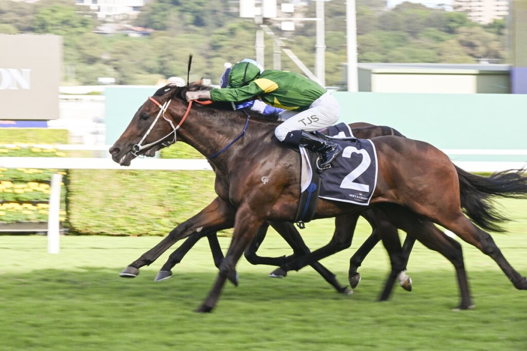 2096204.jpg | Just Horse Racing
