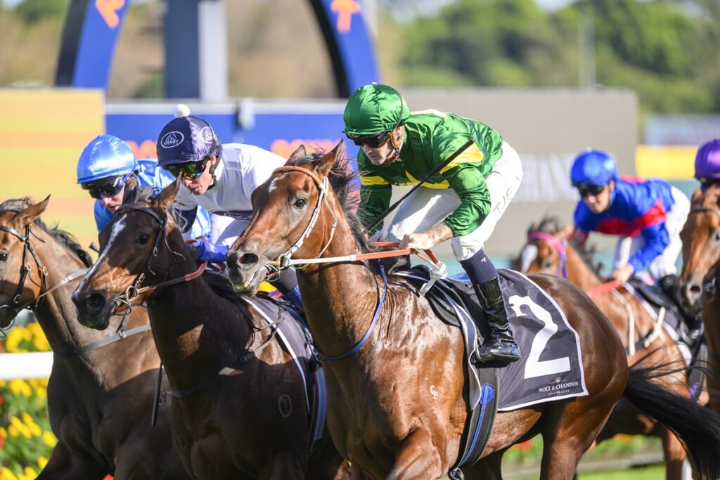 2096216.jpg | Just Horse Racing