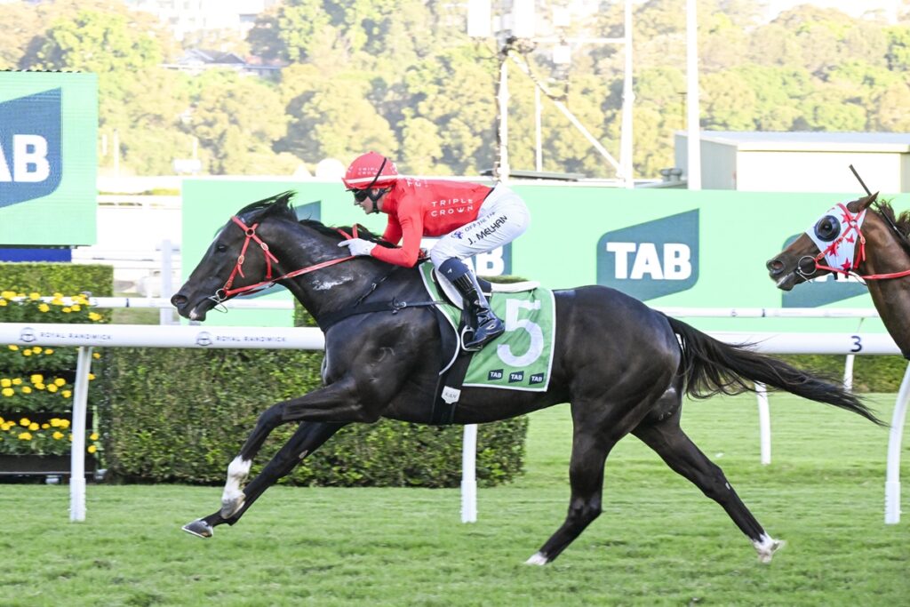 2096298.jpg | Just Horse Racing