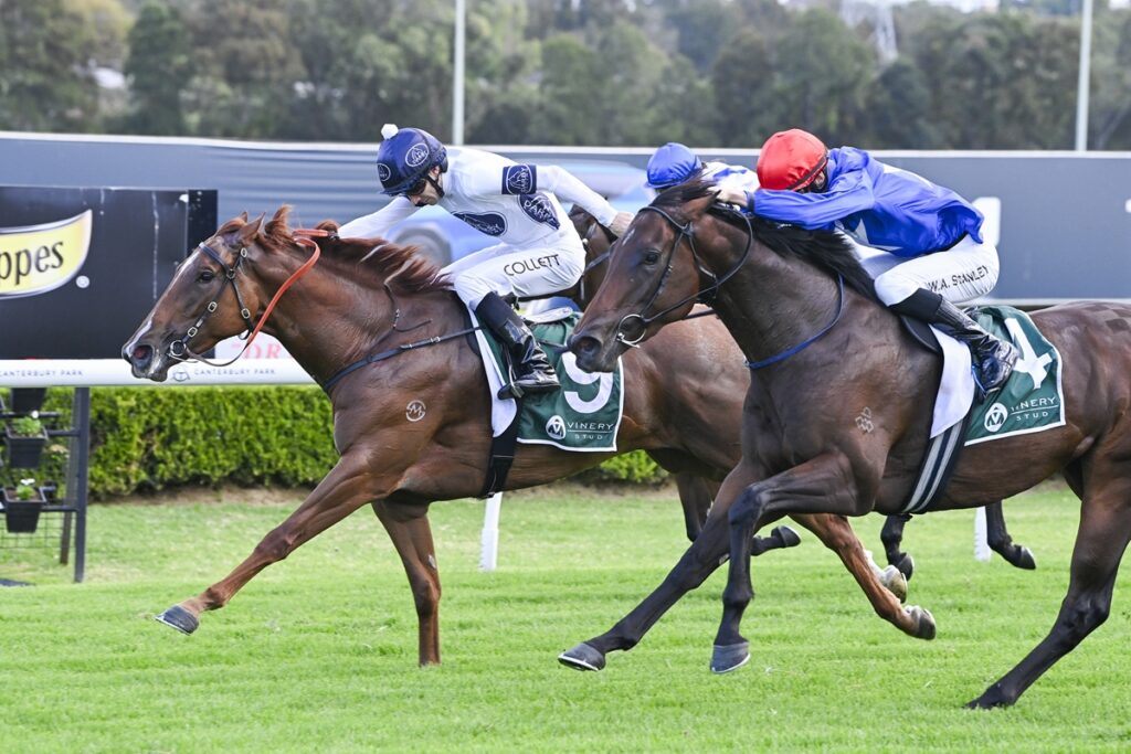 2097747.jpg | Just Horse Racing