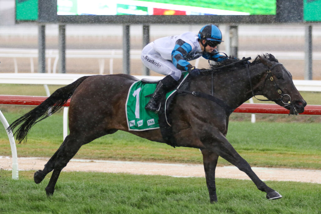 CALL TO GLORY (4) | Just Horse Racing