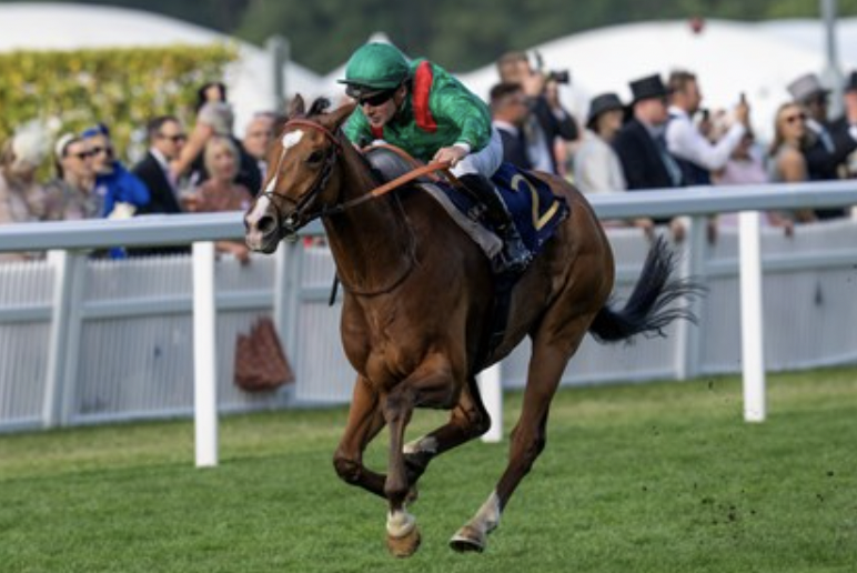 Calandagan | Just Horse Racing