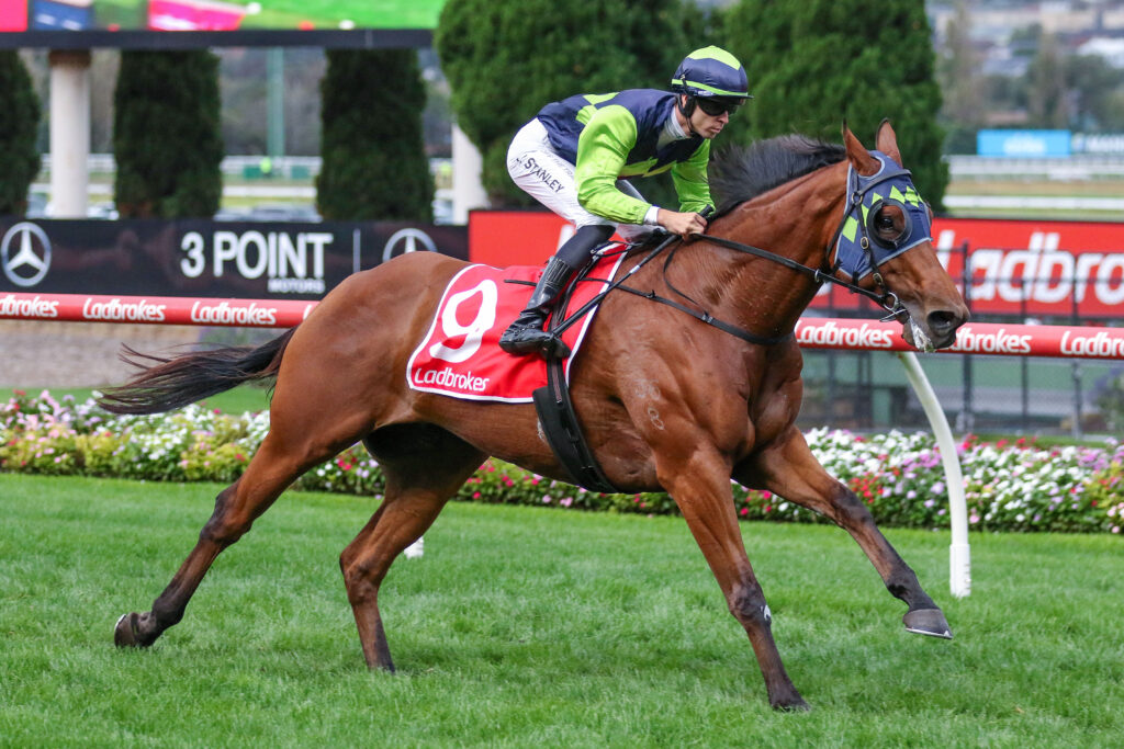El Rocko_26-04-2025_WIN_Moonee Valley_5__603 | Just Horse Racing