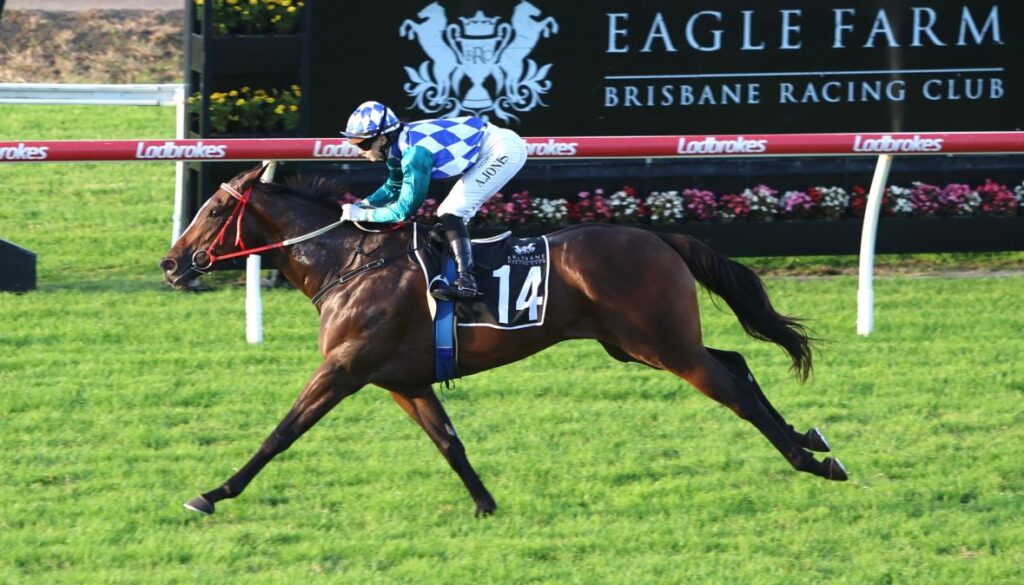 Exotique Miss 2 | Just Horse Racing
