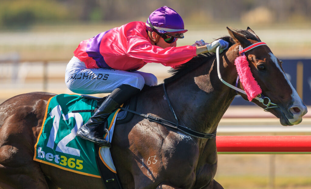 Bendigo Race Day: | Just Horse Racing