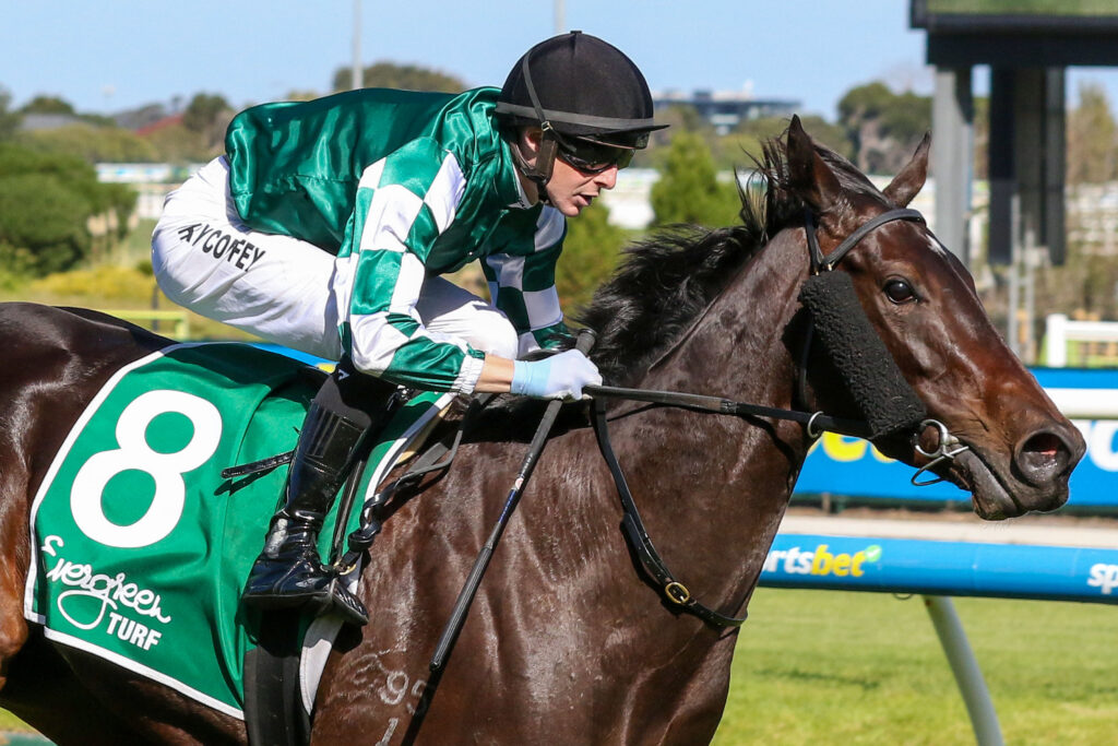 Soft Love_05-04-2025_WIN_Caulfield_7__1246 | Just Horse Racing