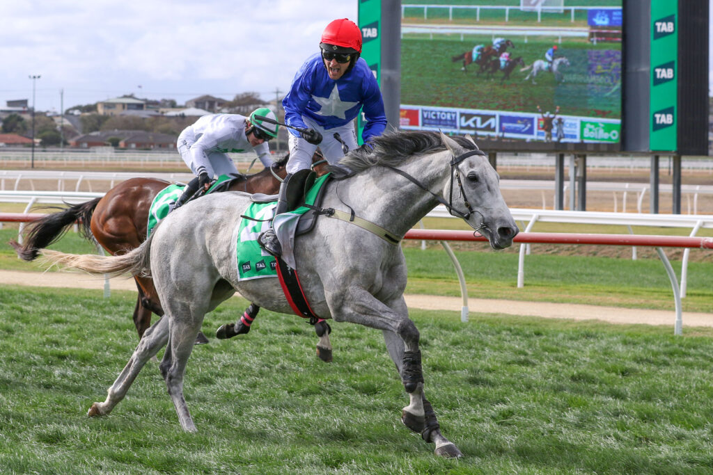 THE CUNNING FOX (5) | Just Horse Racing