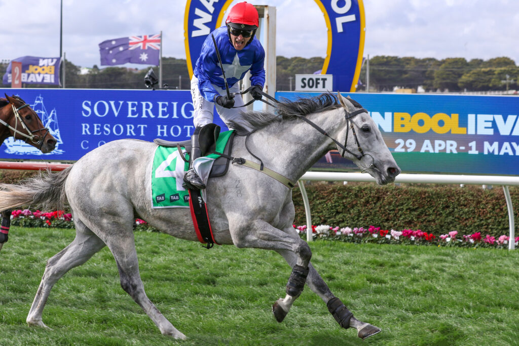 THE CUNNING FOX (8) | Just Horse Racing