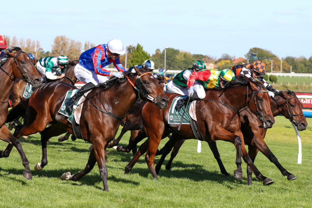 Torranzino,Easter Cup,Group 3_05-04-2025_WIN_Caulfield_8__1553 | Just Horse Racing