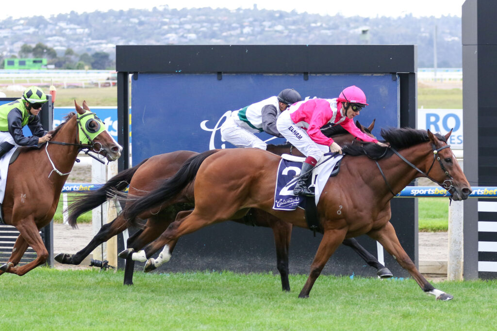 Verdad_19-04-2025_WIN_Mornington_3__363 | Just Horse Racing
