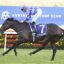 Pride Of Jenni | Just Horse Racing