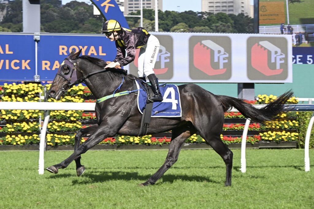 2114859.jpg | Just Horse Racing