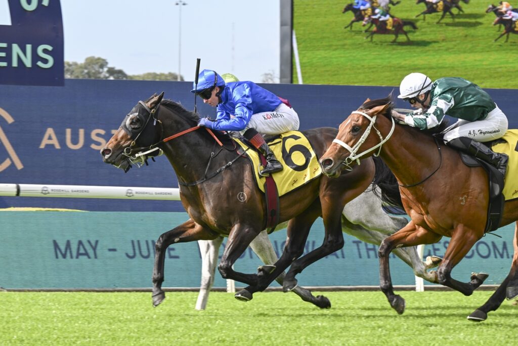 2118098.jpg | Just Horse Racing