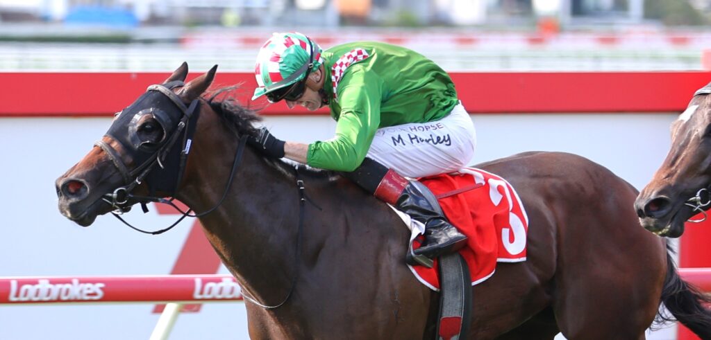 Harley ready to extend winter carnival success with two key rides ...