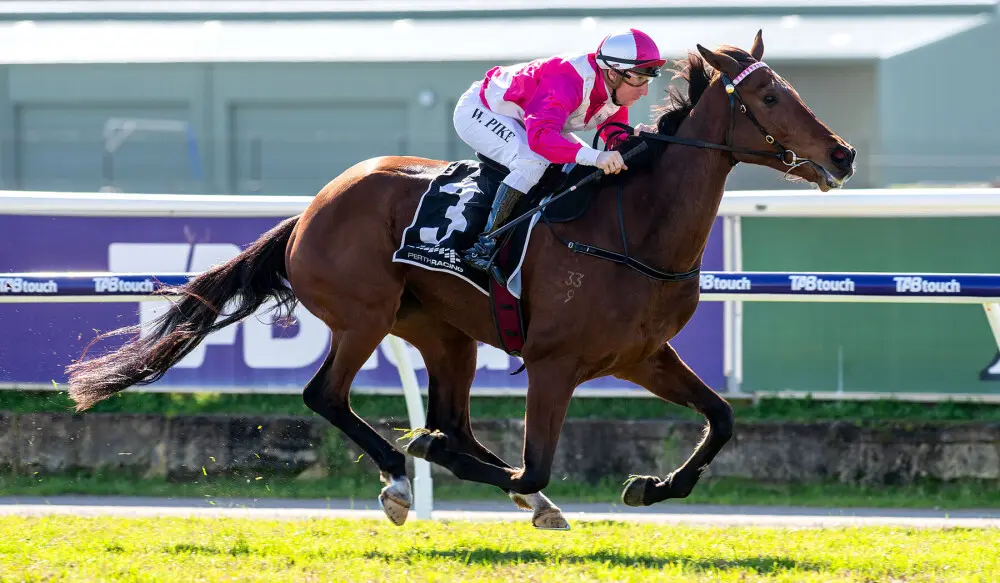 Forgotten Encounter | Just Horse Racing