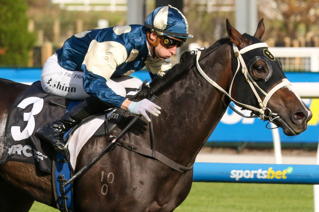 Immediacy_3-05-2025_WIN_Caulfield_6__907 | Just Horse Racing