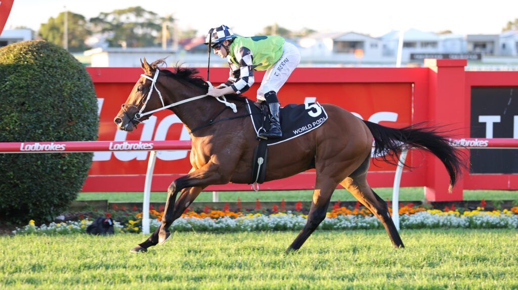Imperialist 2 | Just Horse Racing