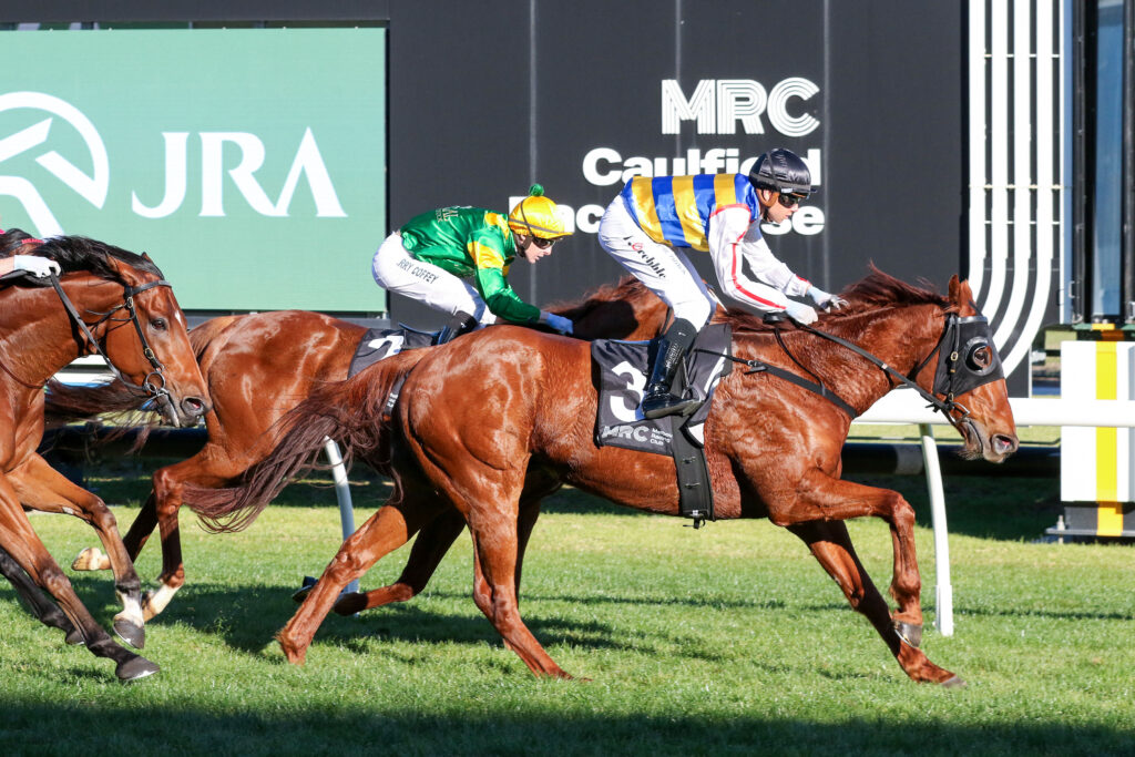 Jimmy The Bear_31-05-2025_WIN_Caulfield_6__831 | Just Horse Racing