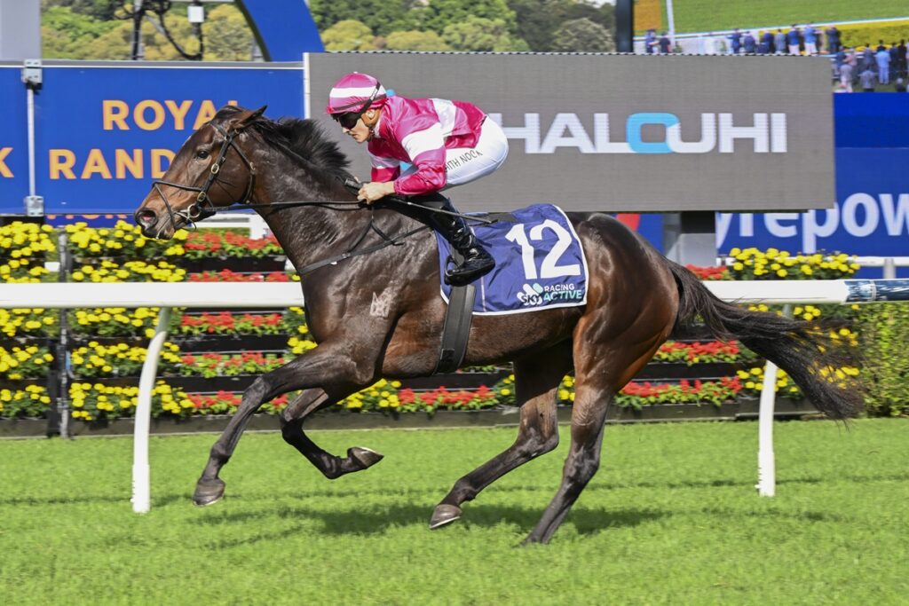 2114777.jpg | Just Horse Racing