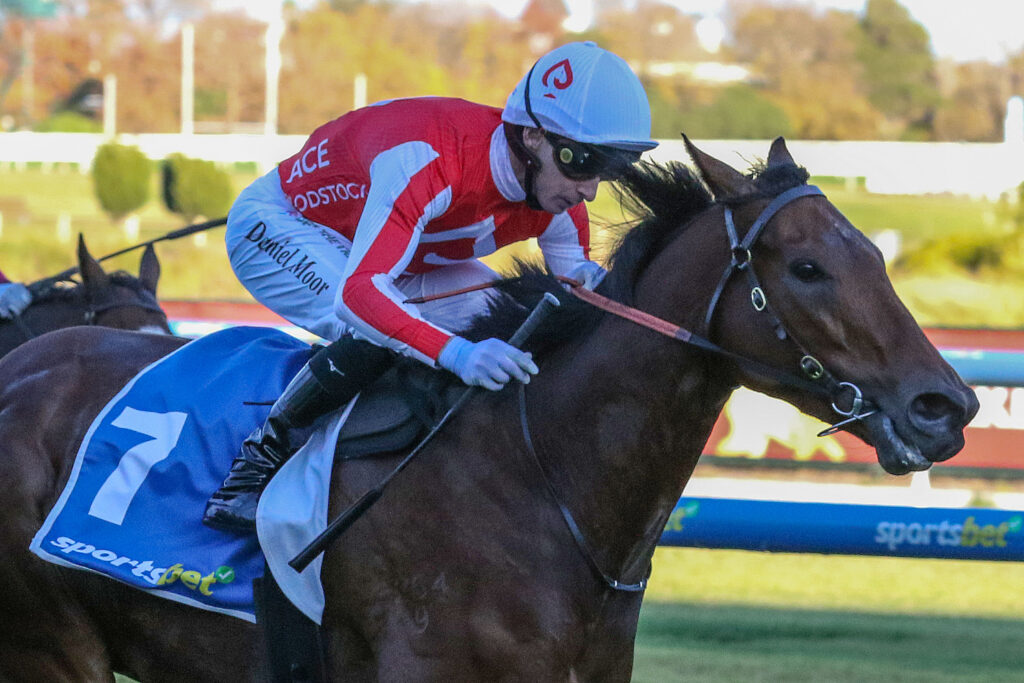 Niance_31-05-2025_WIN_Caulfield_8__1111 | Just Horse Racing