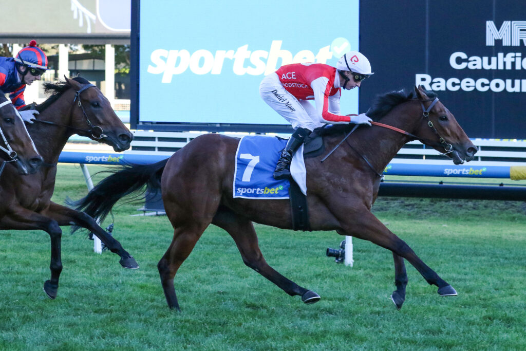 Niance_31-05-2025_WIN_Caulfield_8__1116 | Just Horse Racing