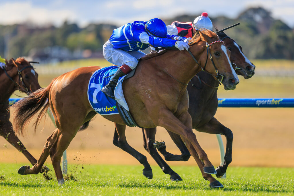 Sandown Race Day: | Just Horse Racing
