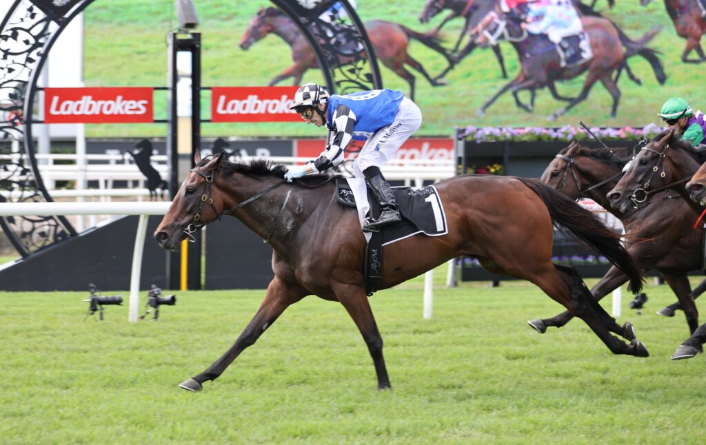 Rising Pacific 2 | Just Horse Racing