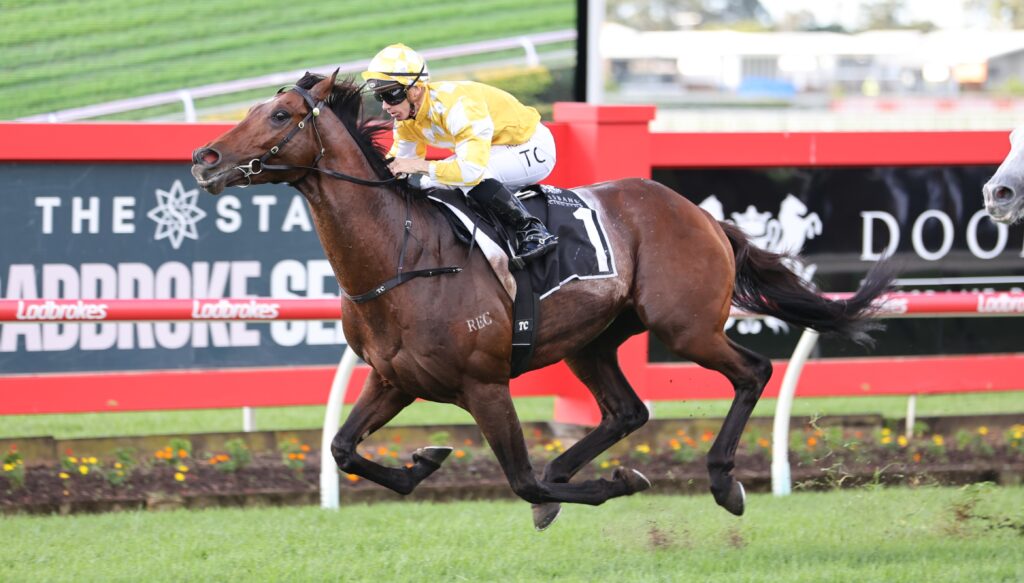 Sir Delius 2 | Just Horse Racing