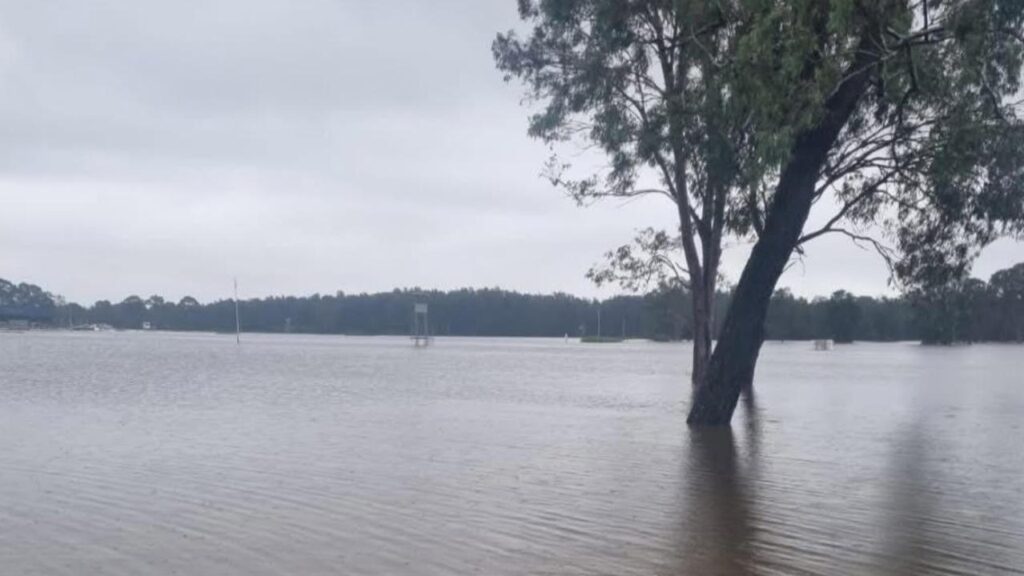 Taree racecourse under water | Just Horse Racing