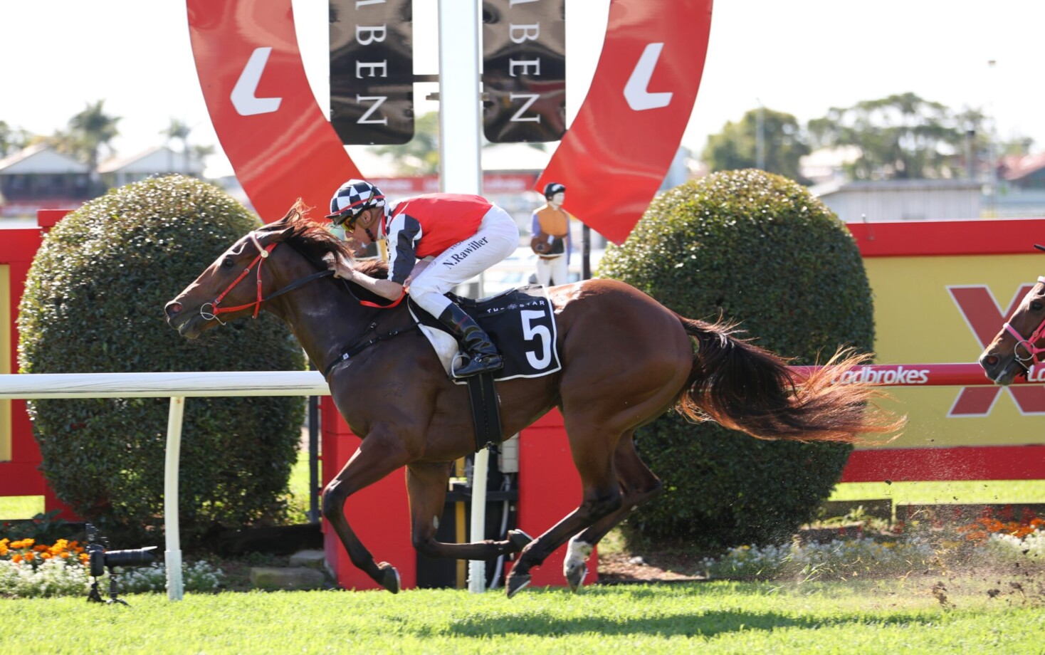The front-office fallout: How the Stradbroke could reshape Queensland’s transfer window The front-office fallout: How the Stradbroke could reshape Queensland’s transfer window