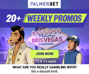 palmerbet
