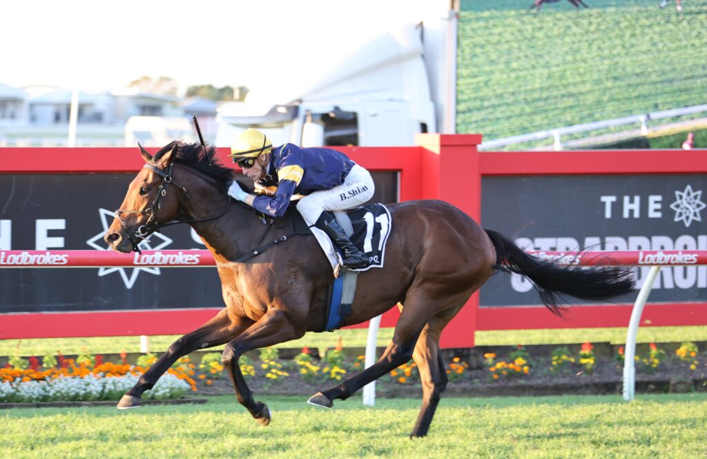 War Machine 2 | Just Horse Racing