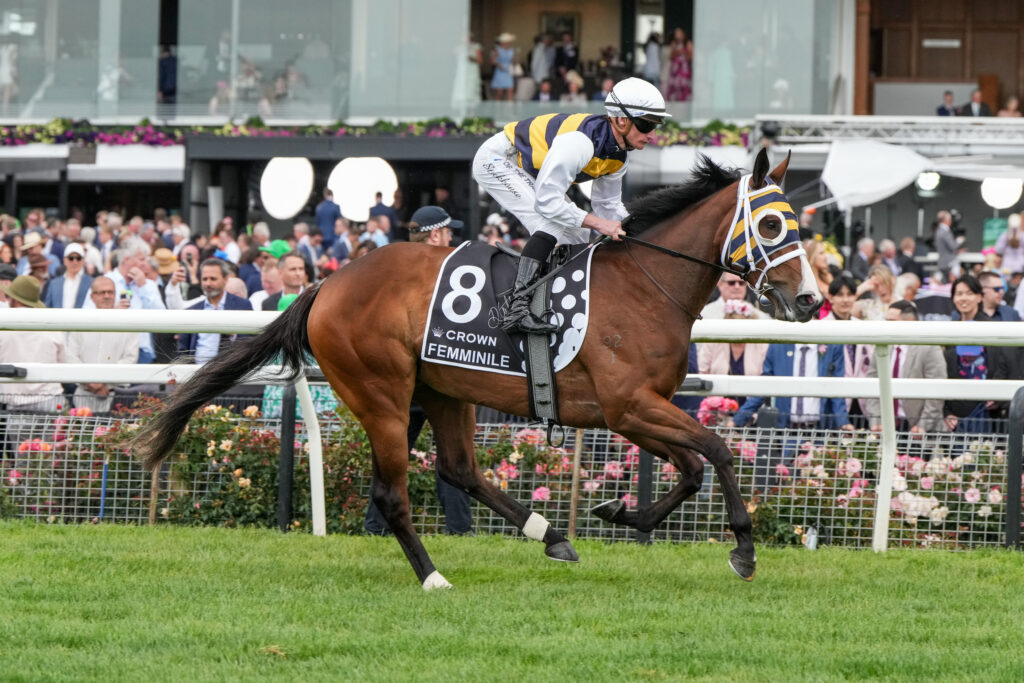 Yulong Secures Star filly Femminile for $1.5 Million – Queensland Derby Bound!