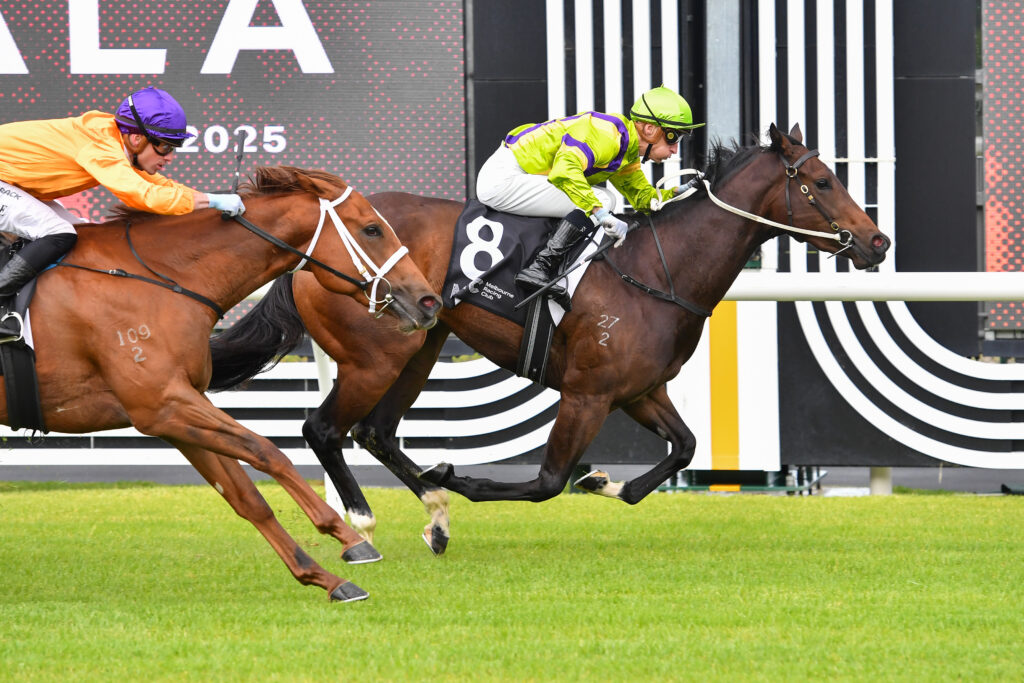 /r2/ | Just Horse Racing