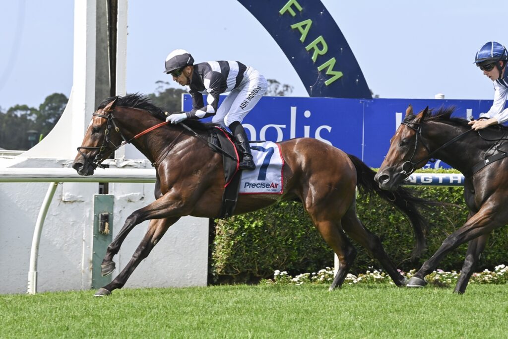 Puntin | Just Horse Racing